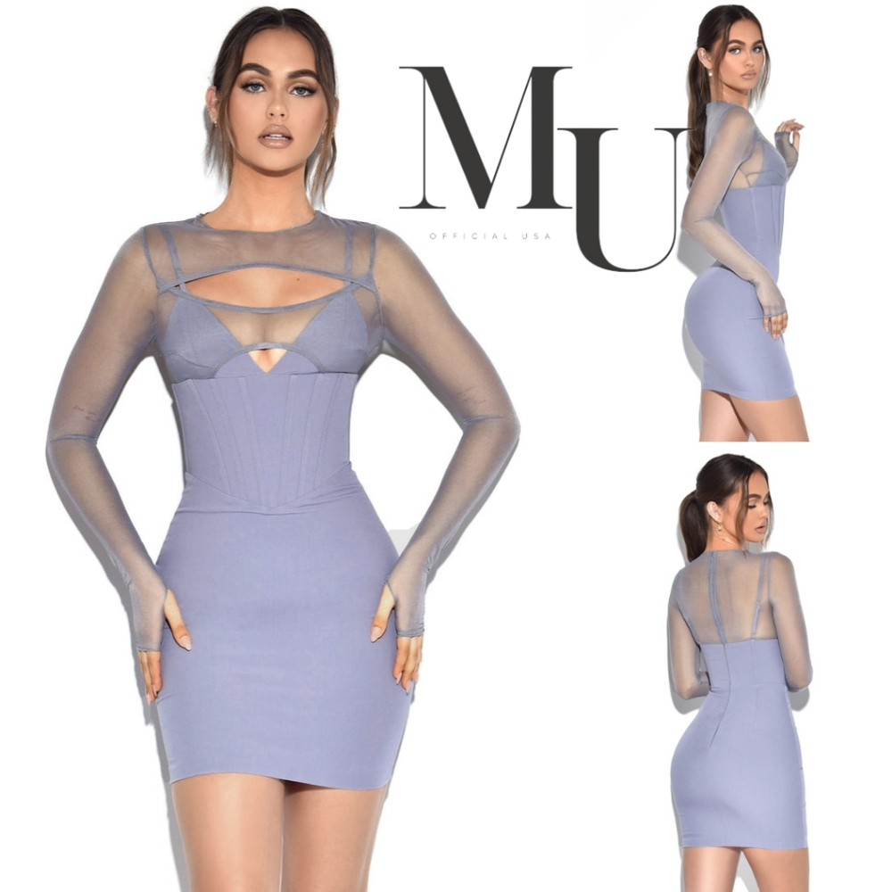 🩶 Winston Grey Mesh Long Sleeve Corset Crepe Dress 🩶